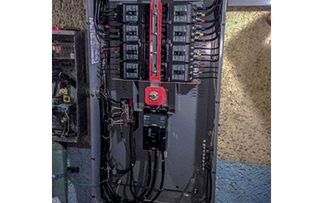 Slide Image